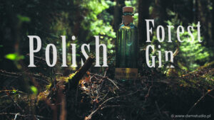 Kadr z filmu produktowego ginu leśnego – Polish Forest Gin, zrealizowany przez DXM Studio